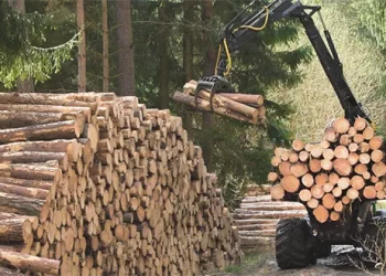 AFIR deschide sesiunea pentru finanțarea exploatării forestiere prin fonduri UE (DR‑24)
