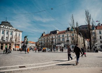 Primăvara aduce verdețuri bogate în nutrienți: ștevia, sursă de fibre și vitamine