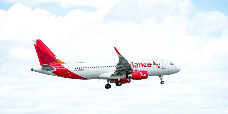 AnimaWings atrage trei investitori instituționali pentru un proiect aviatic privat în România