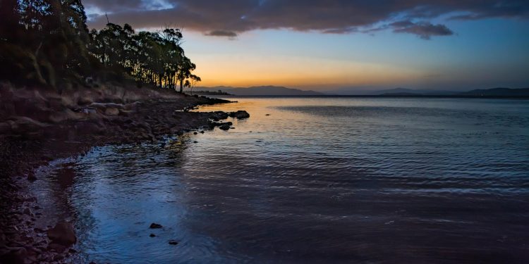 Parlamentul aprobă creșterea cotelor de ucidere a urșilor bruni, inclusiv pentru specimene speciale