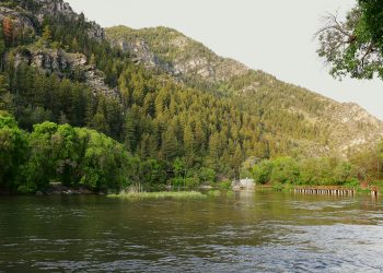 Dacia Logan a Poliției a luat foc în Iași, fără victime