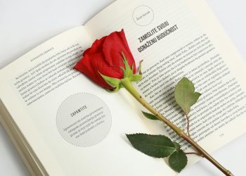 Trump amenință Iranul: „deschideți Strâmtoarea” și indică ținte militare