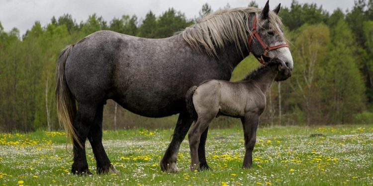 Sâmbăta Mare: semnificația crucii roșii înainte de Înviere