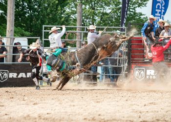 Hormon natural captează potențial pentru combaterea obezității prin circuit cerebral metabolic