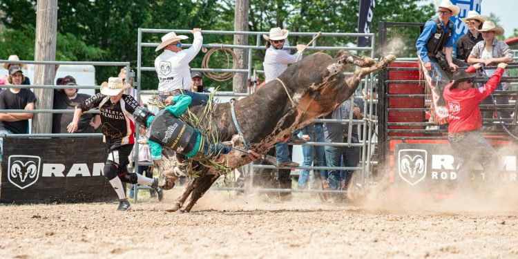 Hormon natural captează potențial pentru combaterea obezității prin circuit cerebral metabolic