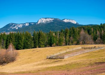 Ninsori abundente în nord-estul României în timpul serii de miercuri