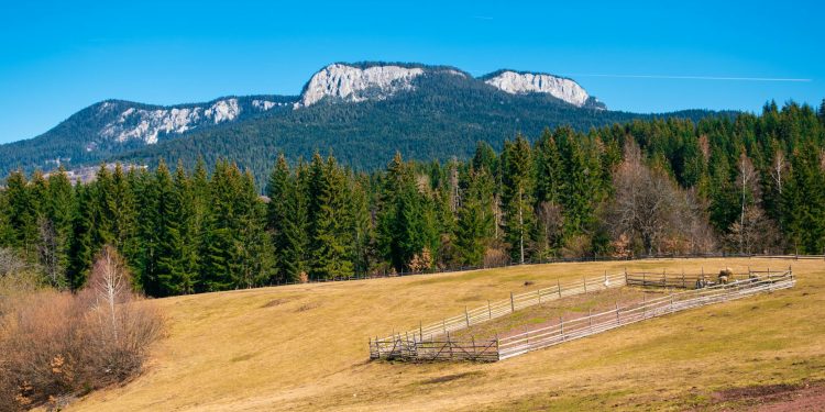Ninsori abundente în nord-estul României în timpul serii de miercuri