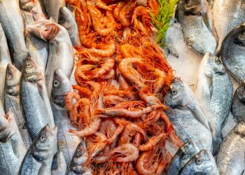 Alimente gătite depozitate pentru a doua zi, pot reprezenta risc de toxiinfecție