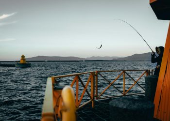 UE caută să accelereze aderarea Islandei, în contextul tensiunilor globale