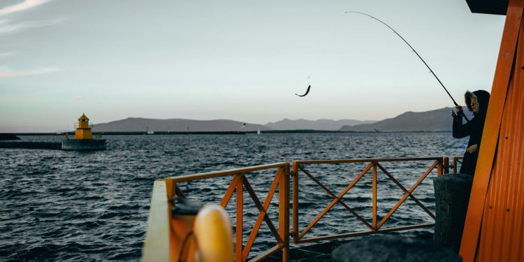 UE caută să accelereze aderarea Islandei, în contextul tensiunilor globale