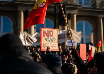 AfD atinge un maxim istoric în sondajul INSA din Germania