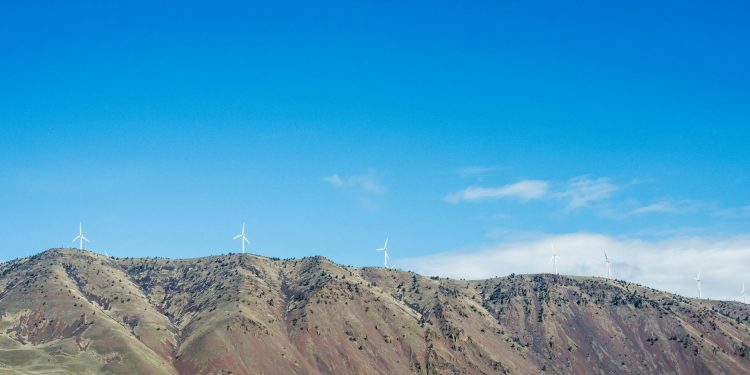 Proiecte fotovoltaice, vândute pe OLX după obținerea avizelor