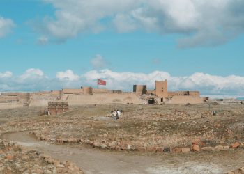 Studiu de 19 ani: nu timpul la ecran, ci activitatea contează pentru riscul de demență