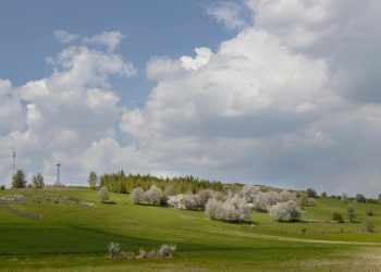 Val frigos afectează începutul primăverii în mai multe zone din România