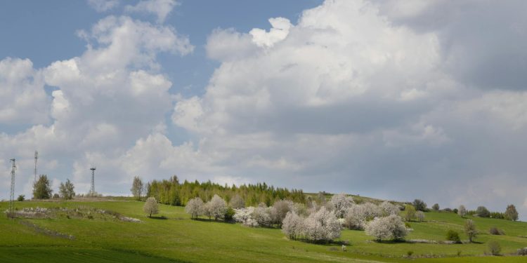 Val frigos afectează începutul primăverii în mai multe zone din România