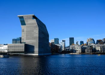 Belugă văzută într-un râu din sudul Norvegiei, mister pentru experți