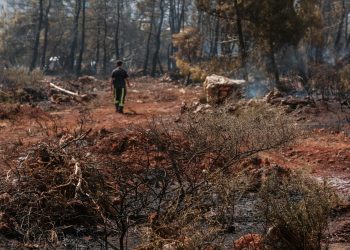 Liban: 14 persoane au pierdut viața în bombardamentele israeliene din sud