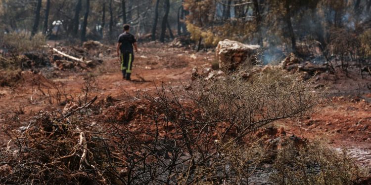 Liban: 14 persoane au pierdut viața în bombardamentele israeliene din sud