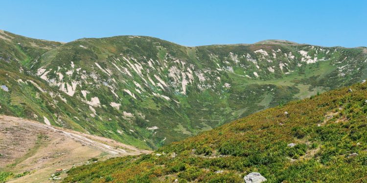 Zelenski Dialogue cu maghiarii din Transcarpatia înaintea scrutinului din Ungaria