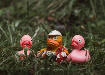 Acţiuni Grup Şerban Holding scad după cererea de insolvenţă a unei companii din grup