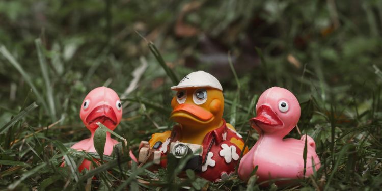 Acţiuni Grup Şerban Holding scad după cererea de insolvenţă a unei companii din grup