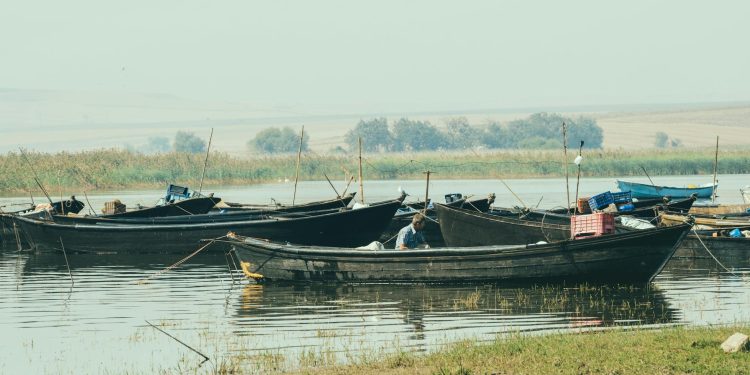 Nicușor Dan și secretarul armatei SUA discută consolidarea cooperării în securitate la Marea Neagră