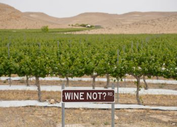 Conflict în Orientul Mijnlociu: tensiuni și afirmații despre obiective militare