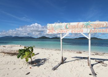 ANAF avertizează despre o schemă de vishing în numele inspectorilor antifraudă