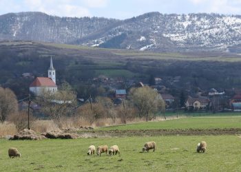 Piața alimentară riscă creșteri după Paște, în special în panificație și carne