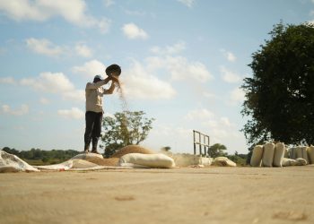 Guvernul pregătește o rețea de date pentru durabilitatea fermelor