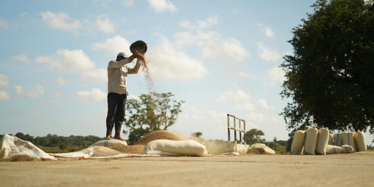 Guvernul pregătește o rețea de date pentru durabilitatea fermelor