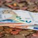 România poate acorda un miliard de euro în sprijin pentru firmele investitoare