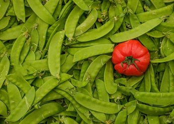 Amenzi de 20.000 EUR date firmelor din Ilfov în urma controalelor ANAF, Vamă și ANSVSA