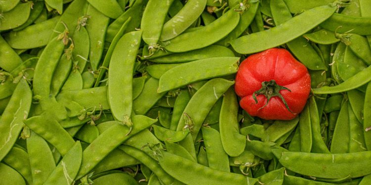 Amenzi de 20.000 EUR date firmelor din Ilfov în urma controalelor ANAF, Vamă și ANSVSA