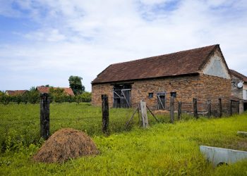 Partidul maghiar de extremă dreapta speră să influențeze formarea guvernului