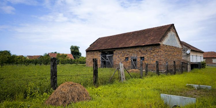 Rata ocupării scade la 63% în 2025; șomajul tinerilor în mediul rural crește semnificativ