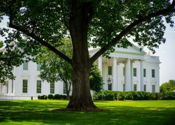 Trump l-a lăsat bacșiș mic unei livratoare de la McDonald’s în timpul mandatului său