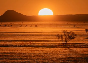 Netflix pregătește un thriller inedit cu doi actori premiați în roluri antagonice