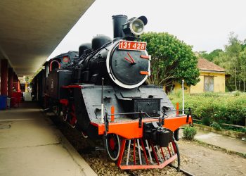 Feroviarul, cheia unui viitor economic durabil pentru România