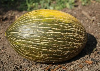 Tratamentul bolilor de piele cere timp și schimbări în stilul de viață