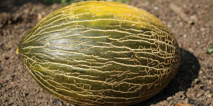 Tratamentul bolilor de piele cere timp și schimbări în stilul de viață