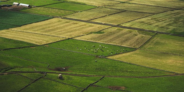 Elbit începe livrarea dronelor Watchkeeper X în România după avertismentul MAPN