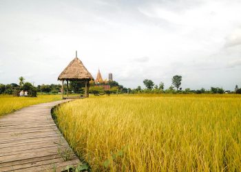 SUA mulțumește României pentru sprijinul în operațiunile din Orientul Mijlociu