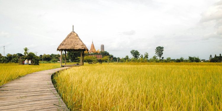 SUA mulțumește României pentru sprijinul în operațiunile din Orientul Mijlociu