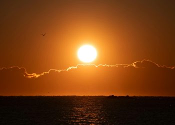 Cont atribuit CE pe rețeaua eYou, fals confirmat; autorii dezvăluie că este eliminat