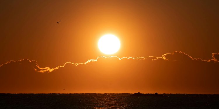 Cont atribuit CE pe rețeaua eYou, fals confirmat; autorii dezvăluie că este eliminat