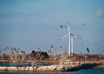 Primar PSD, reținut în dosar de furt de energie electrică