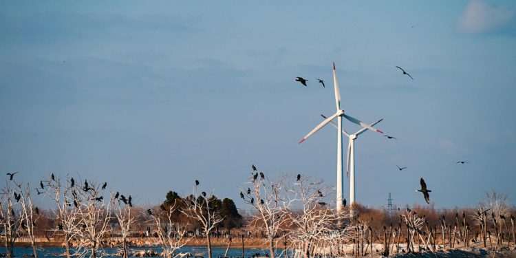 Primar PSD, reținut în dosar de furt de energie electrică