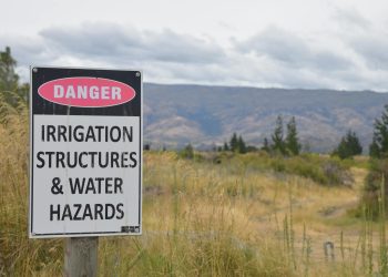 Alexandra Căpitănescu despre piesa „Choke Me”: un manifest personal pentru Eurovision 2026