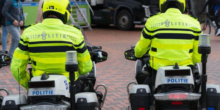 Permisul sau talonul uitat acasă nu vor mai atrage amendă, dacă datele pot fi verificate online